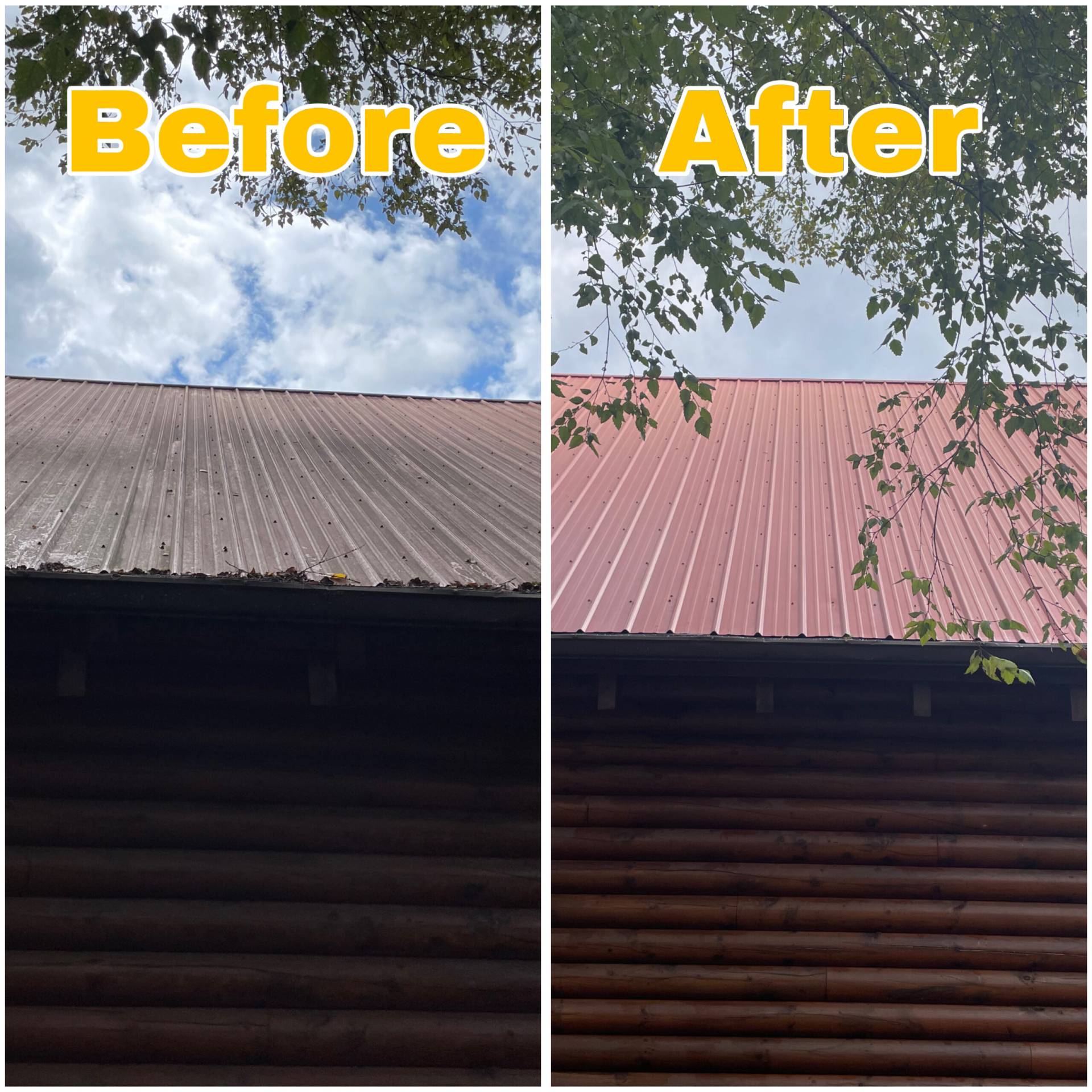 Algae stains removed from asphalt roof in East Tennessee.
