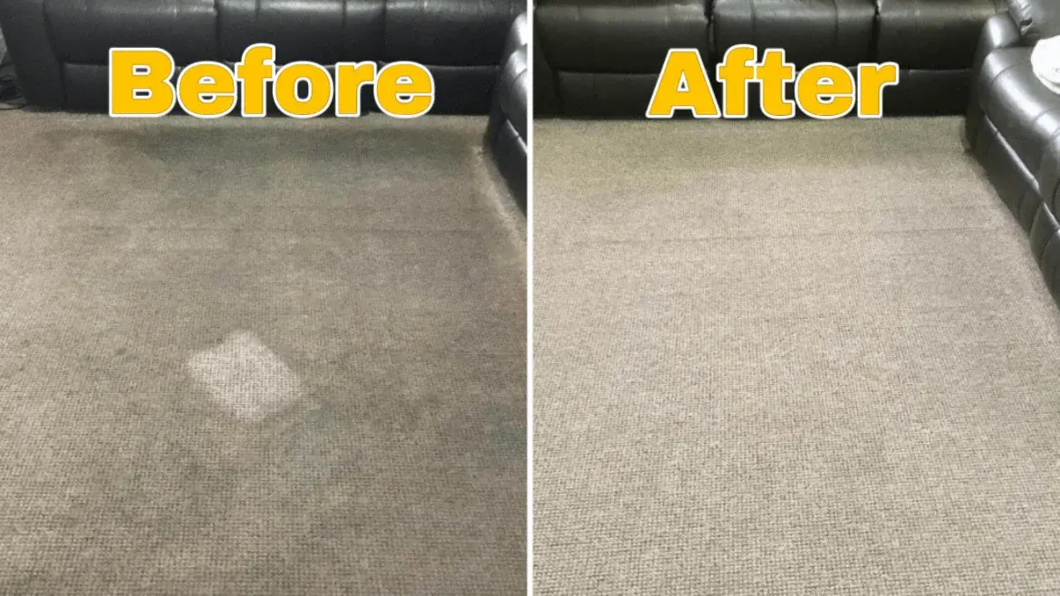 Before and after deep steam carpet cleaning in Knoxville rental property