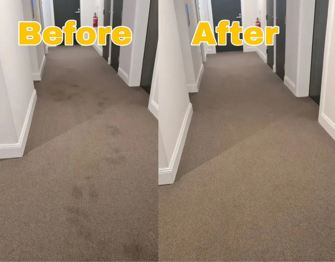 Commercial carpet cleaning Knoxville office building restoring carpet traffic lanes