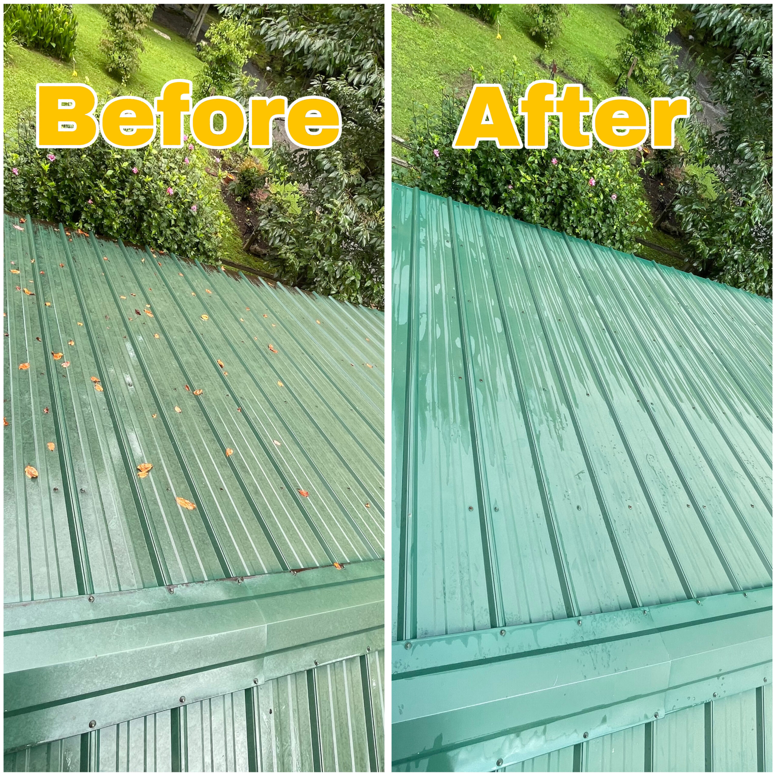 Before and after image of a roof cleaned with soft washing—removing black streaks, algae, and debris for a visibly restored and refreshed appearance.
