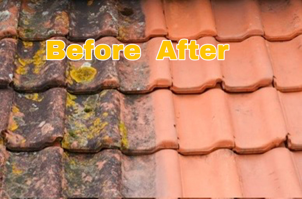 Before and after image of a roof cleaned with soft washing—removing black streaks, algae, and debris for a visibly restored and refreshed appearance.