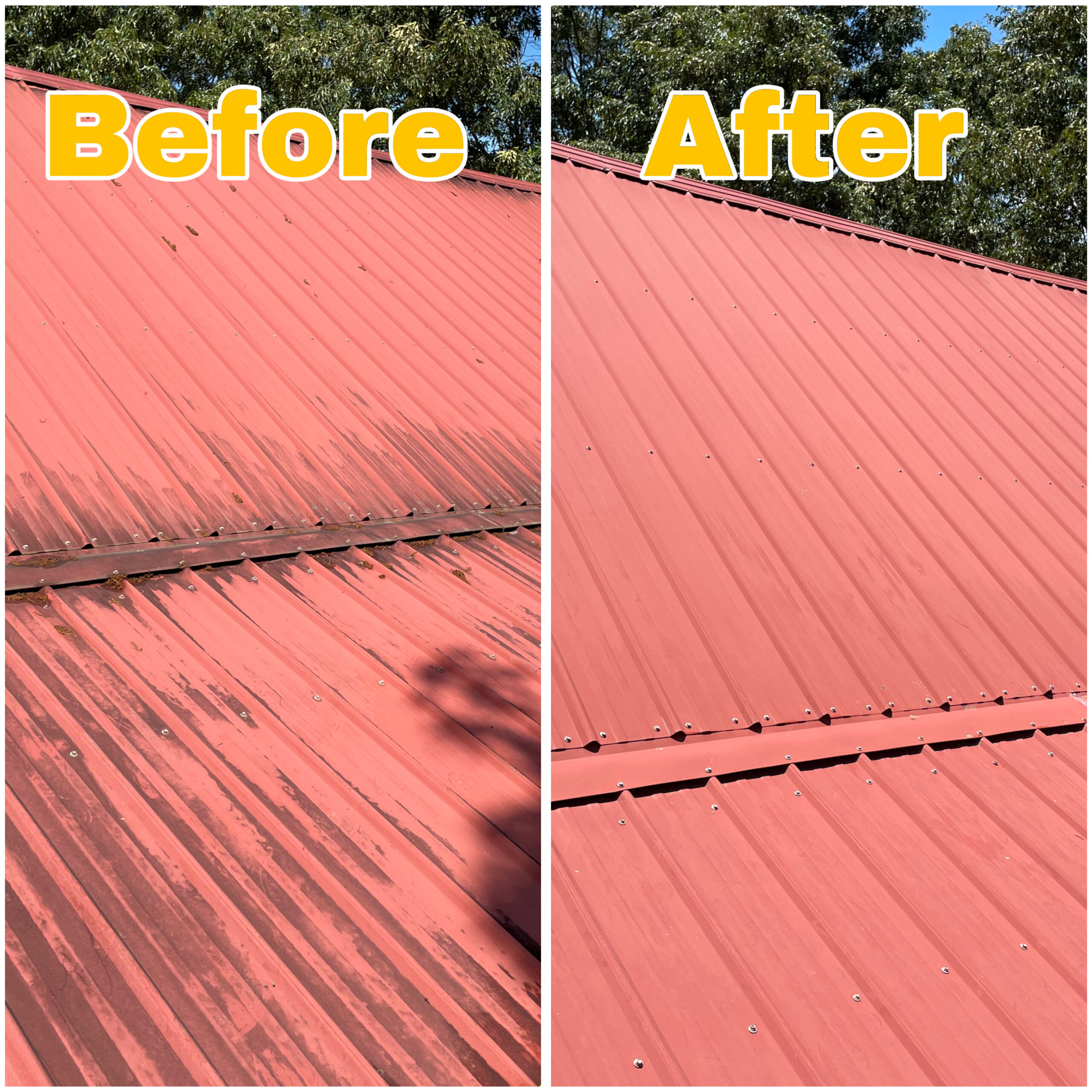 Maryville roof washing service cleaning a metal roof with low-pressure soft washing to preserve finish and stop rust stains